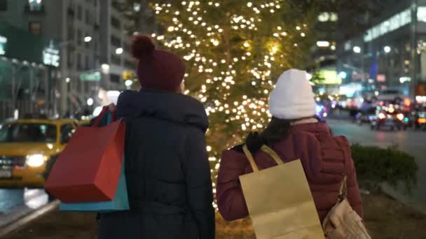 Women on Christmas shopping tour in New York — Stock Video