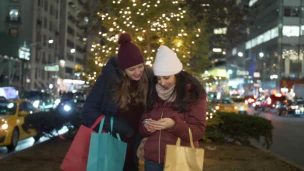 Świąteczne zakupy w Nowym Jorku wspaniałe doświadczenie dla kobiet — Wideo stockowe