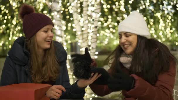クリスマスの時にニューヨークで 2 人の女の子がプレゼントのショッピングを楽しむ — ストック動画