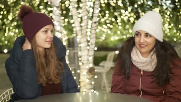 クリスマスのニューヨークの素晴らしい経験を買い物 — ストック動画