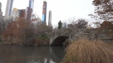 Central Park'ta bir kış gününde romantik göl