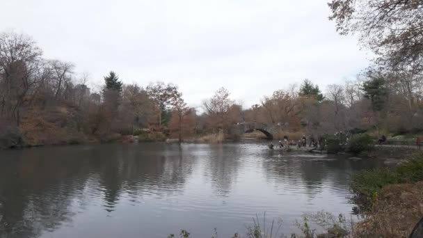 Lago romántico en Central Park en un día de inviernos — Vídeo de stock