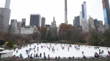 Central Park, Noel zamanı, ünlü buz pateni pisti