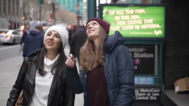 Dwóch przyjaciół podróży do Nowego Jorku na zwiedzanie — Wideo stockowe