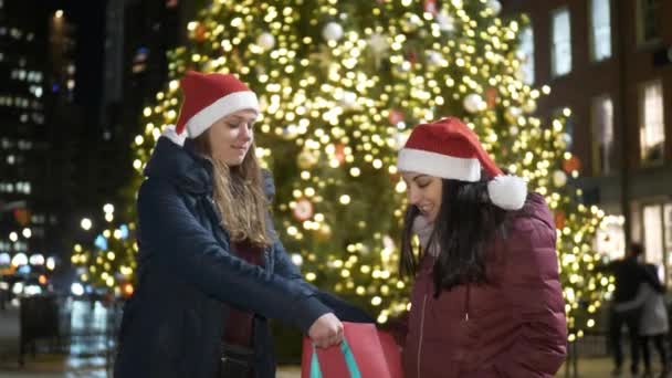 Twee meisjes voor een kerstboom genieten van de geweldige tijd in New York — Stockvideo