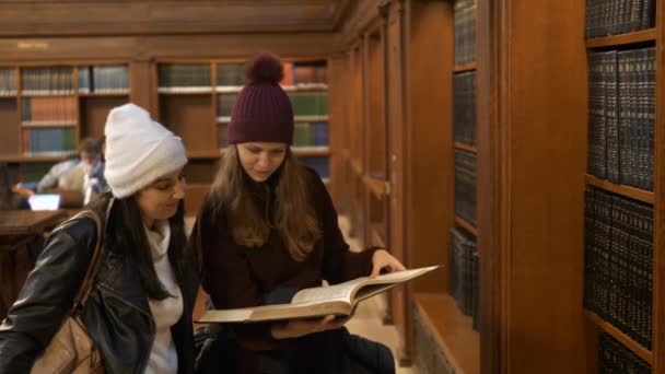 Duas Mulheres Fazendo Pesquisa Uma Biblioteca Fotografia Viagem — Vídeo de Stock