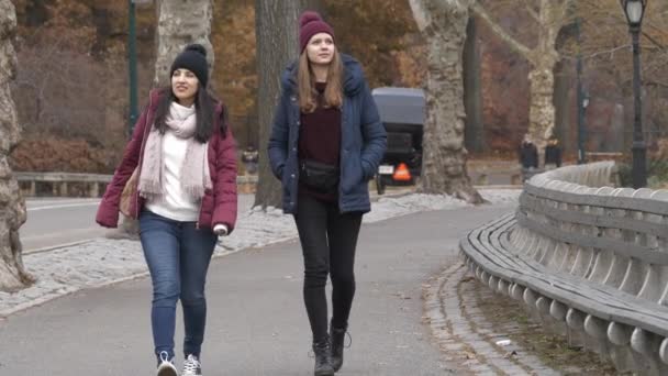 Une promenade à travers Central Park New York — Video