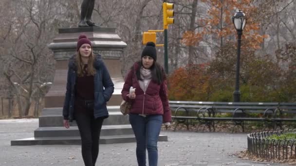 Två unga kvinna på en resa till New York ta en avkopplande promenad i Central Park — Stockvideo