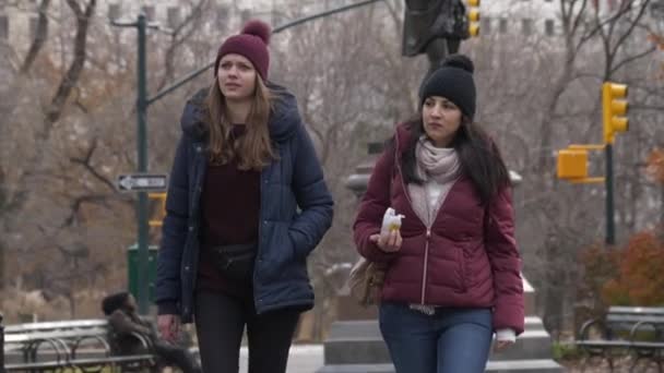 Duas Jovens Uma Viagem Nova York Dar Passeio Relaxante Central — Vídeo de Stock