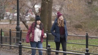 Bir yürüyüş yoluyla New York Central Park