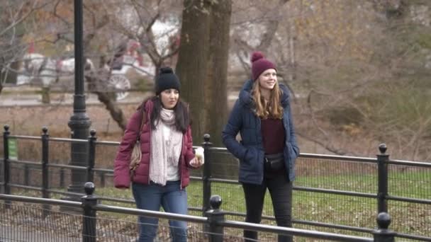 Bir yürüyüş yoluyla New York Central Park — Stok video