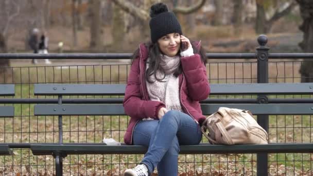 Приємно провести час в центральному парку Нью-Йорка на день зими — стокове відео