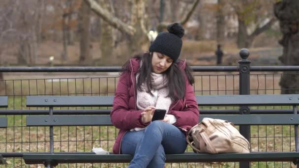 Maravilloso momento en Central Park Nueva York en un día de invierno — Vídeos de Stock