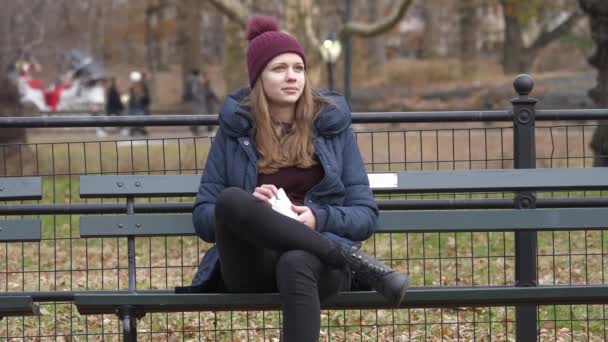 Wspaniały czas w Central Park w Nowym Jorku dnia zimy — Wideo stockowe