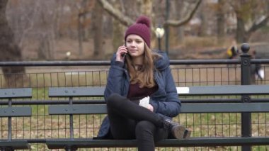 Harika zaman, New York Central Park bir kış gününde