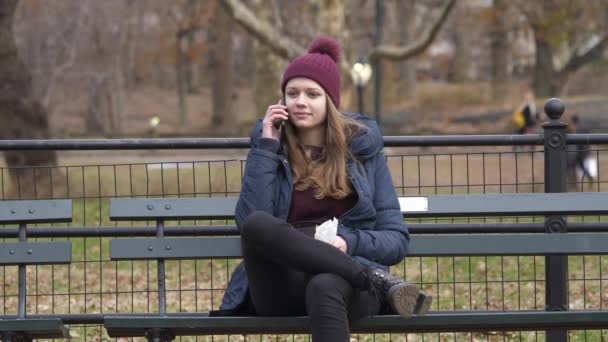Maravilhoso tempo no Central Park New York em um dia de inverno — Vídeo de Stock