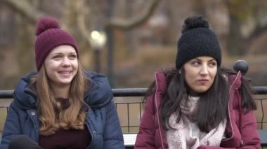 Harika zaman, New York Central Park bir kış gününde