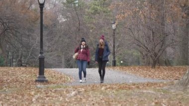 Central Park New York dinlenmek için harika bir yerdir ve yürüyüşler genişletilmiş