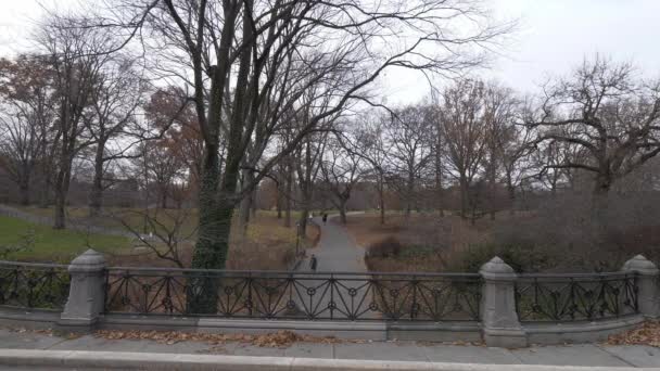 Rahatlatıcı bir yürüyüş yoluyla New York Central Park — Stok video