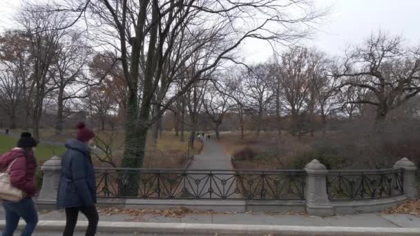 Rahatlatıcı bir yürüyüş yoluyla New York Central Park — Stok video