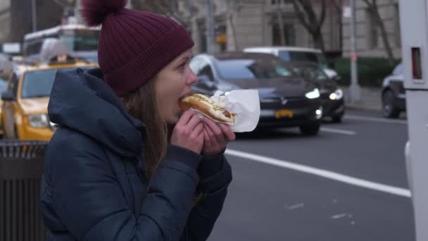 Comida típica de la calle en Nueva York el famoso hot dog — Vídeo de stock