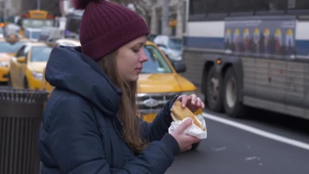 Comida típica de la calle en Nueva York el famoso hot dog — Vídeo de stock