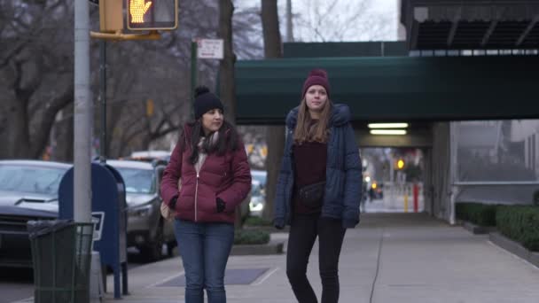 Ein Spaziergang Den Straßen Von New York Reisefotos — Stockvideo