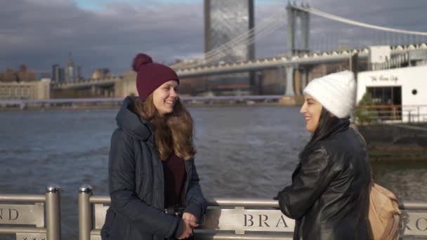 Zwei freunde in new york spazieren an der brooklyn bridge — Stockvideo