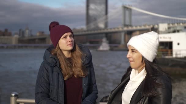 Dois amigos viajam para Nova York para passear na Brooklyn Bridge — Vídeo de Stock