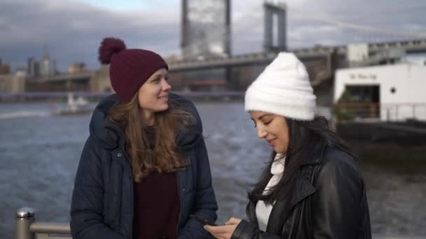 Dos amigos viajan a Nueva York para hacer turismo en Brooklyn Bridge — Vídeos de Stock