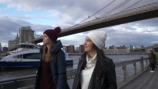 Dos amigos viajan a Nueva York para hacer turismo en Brooklyn Bridge — Vídeo de stock