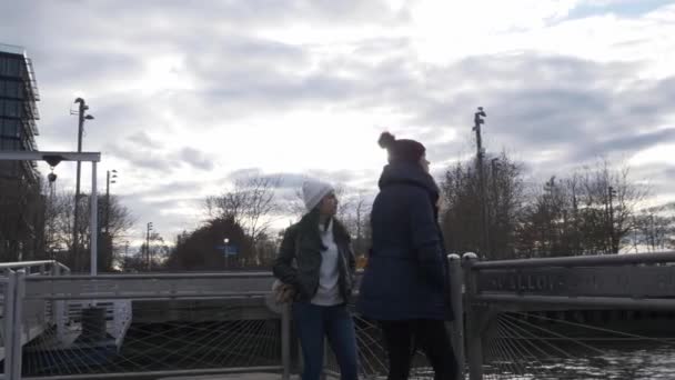 Dwóch młodych kobiet w Nowym Jorku spacerem wzdłuż typowych skyline Brooklyn Bridge — Wideo stockowe