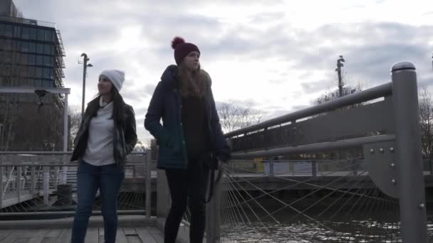 Две молодые женщины в Нью-Йорке прогуливаются по типичному горизонту на Бруклинском мосту — стоковое видео
