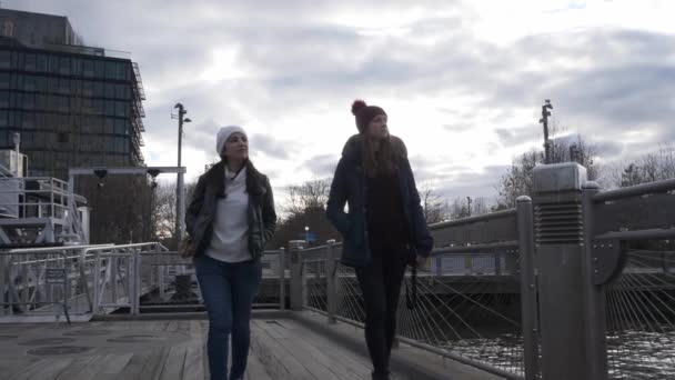 Dos mujeres jóvenes en Nueva York caminan a lo largo del horizonte típico en Brooklyn Bridge — Vídeos de Stock