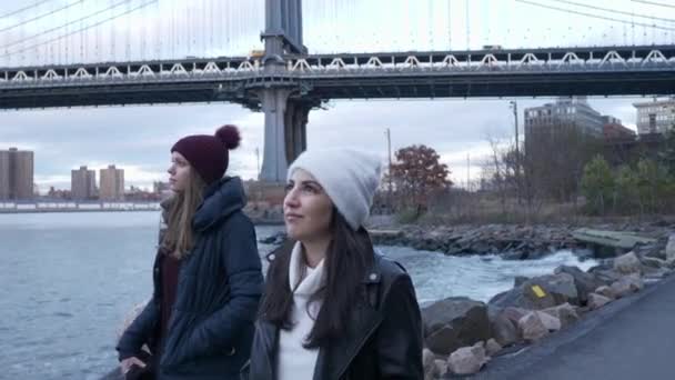 Increíble paseo en Manhattan Bridge en Nueva York perfecto para hacer turismo — Vídeos de Stock