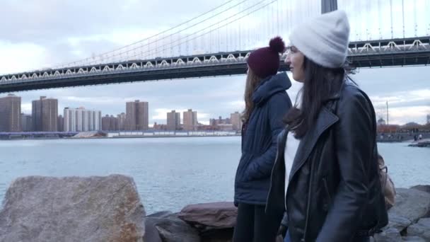 Καταπληκτική βόλτα στη γέφυρα του Μανχάταν στη Νέα Υόρκη τέλεια για τα αξιοθέατα — Αρχείο Βίντεο