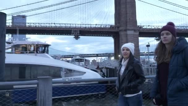 Deux amis marchent le long de l'incroyable horizon de Manhattan dans la soirée — Video