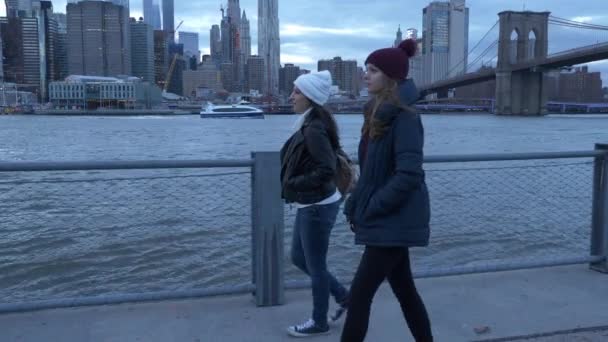 Två vänner promenera längs fantastiska skyline av Manhattan på kvällen — Stockvideo