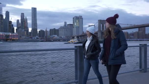 Två vänner resa till New York för sightseeing — Stockvideo