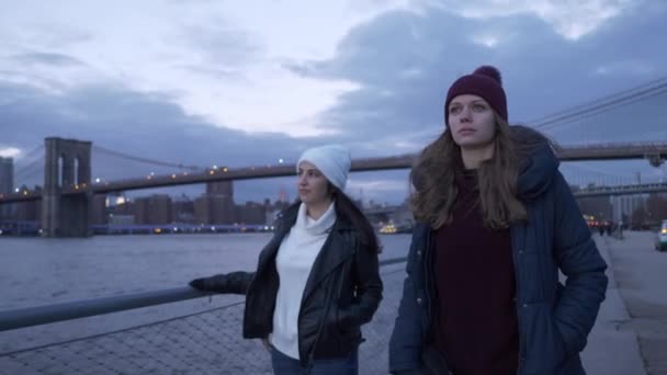Spaziergang entlang des Hudson River mit einem wunderschönen Blick über die Skyline von Manhattan — Stockvideo