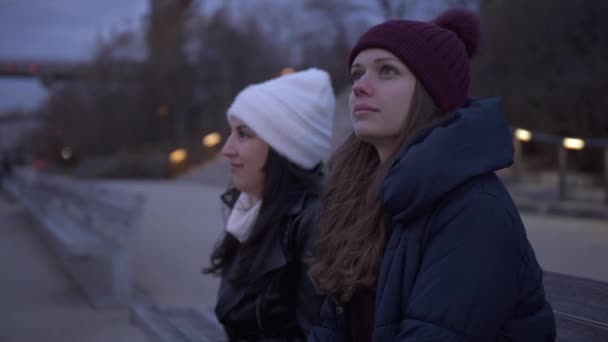 İki genç kadın, New York'taki Manhattan siluetinin muhteşem bir akşam zevk — Stok video