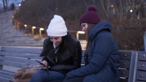 İki genç kadın, New York'taki Manhattan siluetinin muhteşem bir akşam zevk — Stok video
