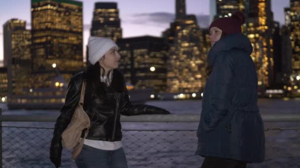 The wonderful Manhattan skyline visited by two girls in New York — Stock Video