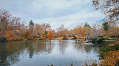 Central Park'ta bir kış gününde romantik göl