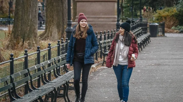 Bir yürüyüş yoluyla New York Central Park — Stok fotoğraf