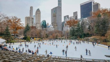 Central Park pistinde kışın buz