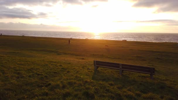 Ławka na wybrzeżu Morza Irlandzkiego — Wideo stockowe