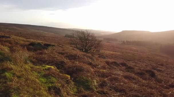 Magnifique parc national du district de Peak en Angleterre — Video