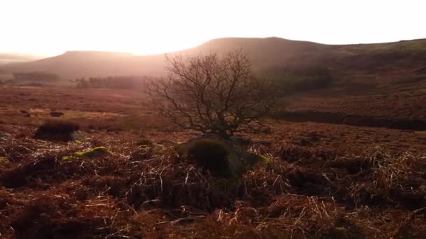 Pôr do sol sobre Peak District National Park na Inglaterra — Vídeo de Stock