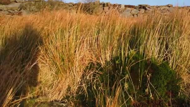 Upper Burbage al Peak District National Park in Inghilterra — Video Stock